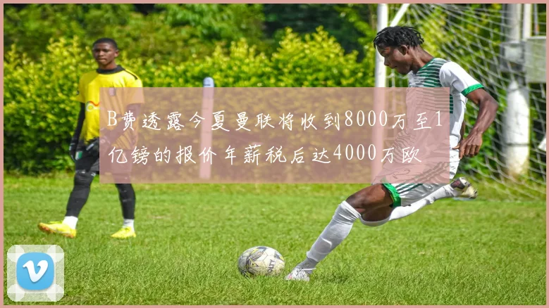 B费透露今夏曼联将收到8000万至1亿镑的报价年薪税后达4000万欧